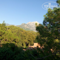 фото из отзыва ID 2081118