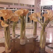 фото из отзыва ID 2081149