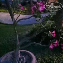 фото из отзыва ID 2081266