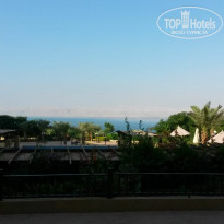 фото из отзыва ID 2081303