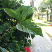фото из отзыва ID 2081350