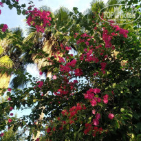 фото из отзыва ID 2081350