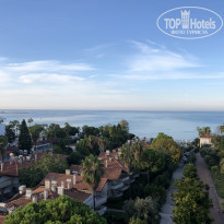 фото из отзыва ID 2081382