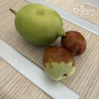 фото из отзыва ID 2081382