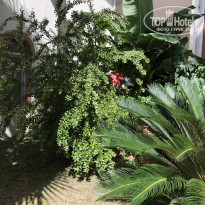 фото из отзыва ID 2081382