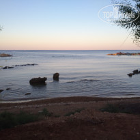 фото из отзыва ID 2081411