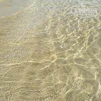 фото из отзыва ID 2081411