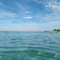 фото из отзыва ID 2081411