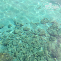 фото из отзыва ID 2081411