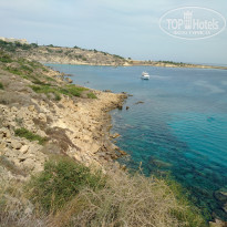 фото из отзыва ID 2081411