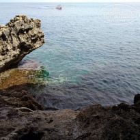 фото из отзыва ID 2081411