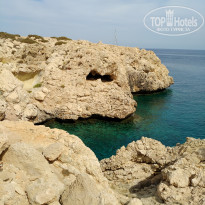 фото из отзыва ID 2081411