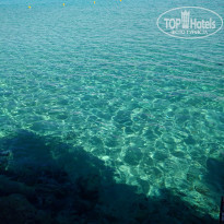 фото из отзыва ID 2081411