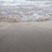 фото из отзыва ID 2081411