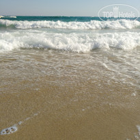 фото из отзыва ID 2081411