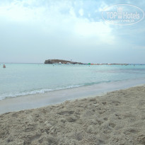 фото из отзыва ID 2081411