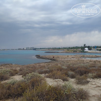 фото из отзыва ID 2081411