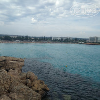 фото из отзыва ID 2081411