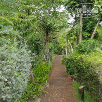 фото из отзыва ID 2081502