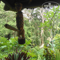 фото из отзыва ID 2081533