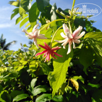 фото из отзыва ID 2081576