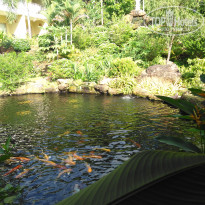 фото из отзыва ID 2081576