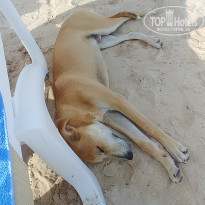 фото из отзыва ID 2081635