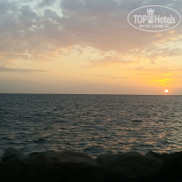 фото из отзыва ID 2081635