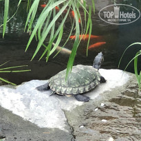 фото из отзыва ID 2081674