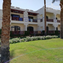 фото из отзыва ID 2081668