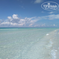 фото из отзыва ID 2081809