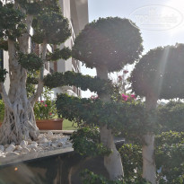 фото из отзыва ID 2081842