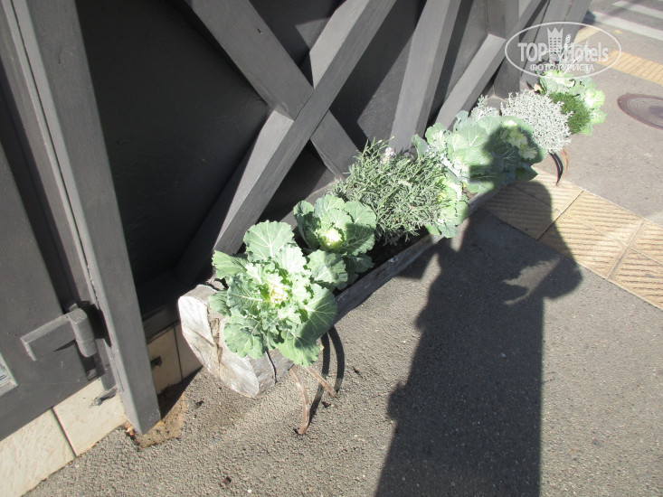 Валентино (закрыт)