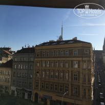 фото из отзыва ID 2081820