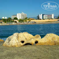 фото из отзыва ID 2081996