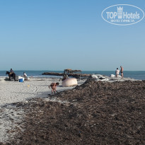 фото из отзыва ID 2081890