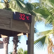 фото из отзыва ID 2082030