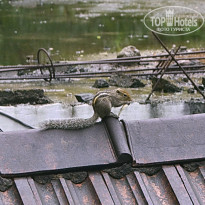 фото из отзыва ID 2082101