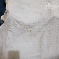 фото из отзыва ID 2082224