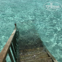 фото из отзыва ID 2082258