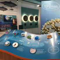 фото из отзыва ID 2082258