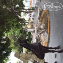 фото из отзыва ID 2082292