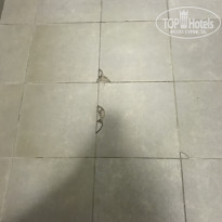 фото из отзыва ID 2082323