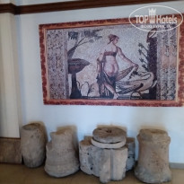 фото из отзыва ID 2082343