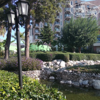 фото из отзыва ID 2082211