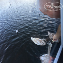 фото из отзыва ID 2082463