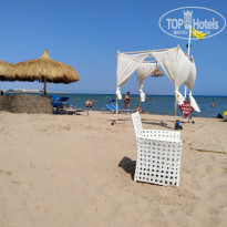 фото из отзыва ID 2082512