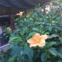 фото из отзыва ID 2082559