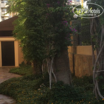 фото из отзыва ID 2082559