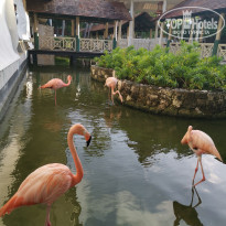 фото из отзыва ID 2082556